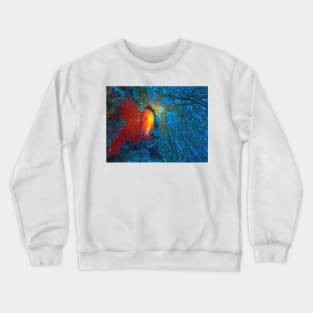 Red Snapper in Red Coral Crewneck Sweatshirt